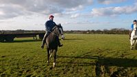 On The Gallops 3